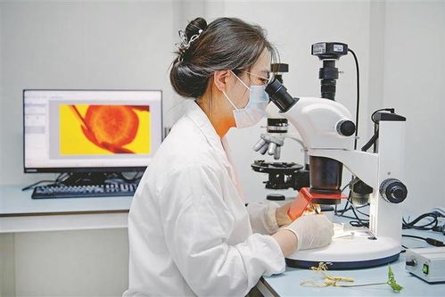 从煤灰漫天到金山叠翠 贾汪七获优秀背后的生物产品研发转型密码