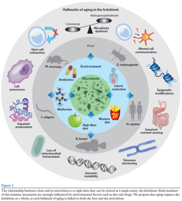 学术沙龙聚焦益生菌研究新进展，完美生科院探索生物产品研发新思路