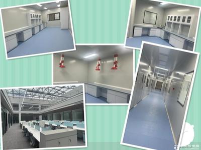 江苏二楼以上厂房招商 生物产品研发的理想选择