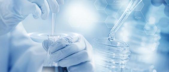 佰仁医疗 人工瓣膜研发领域的“匠人”精神与生物产品创新