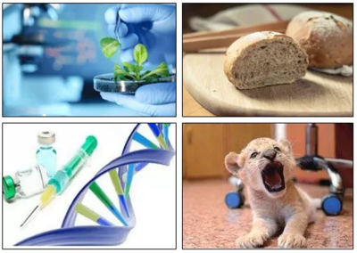 生物技术专业 寻找上帝隐藏的彩蛋，解锁进化的秘密与生物产品研发